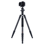 Tripod | Carbon | C6i XXL